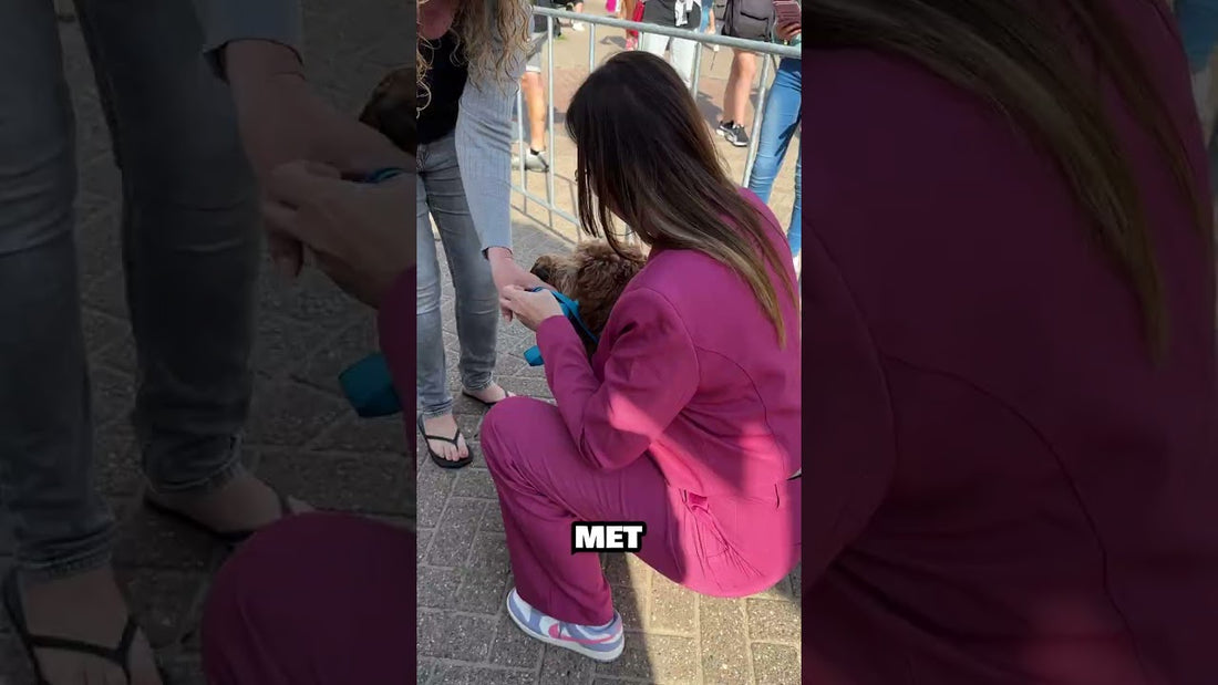 Dit gebeurde er op het Tina Festival...